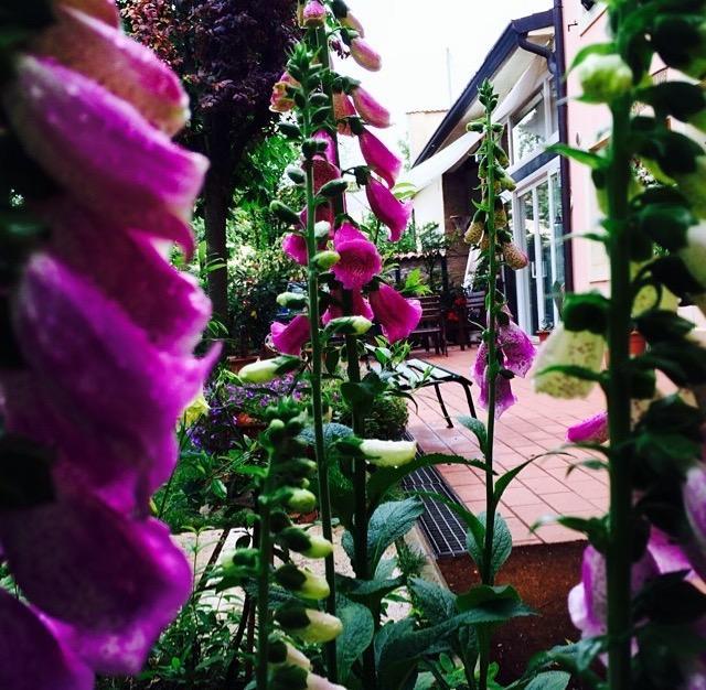 Bed And Breakfast Villa Franca Villafranca di Verona Exterior photo